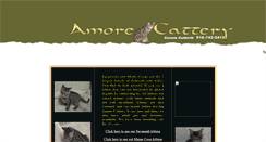 Desktop Screenshot of amorecattery.com